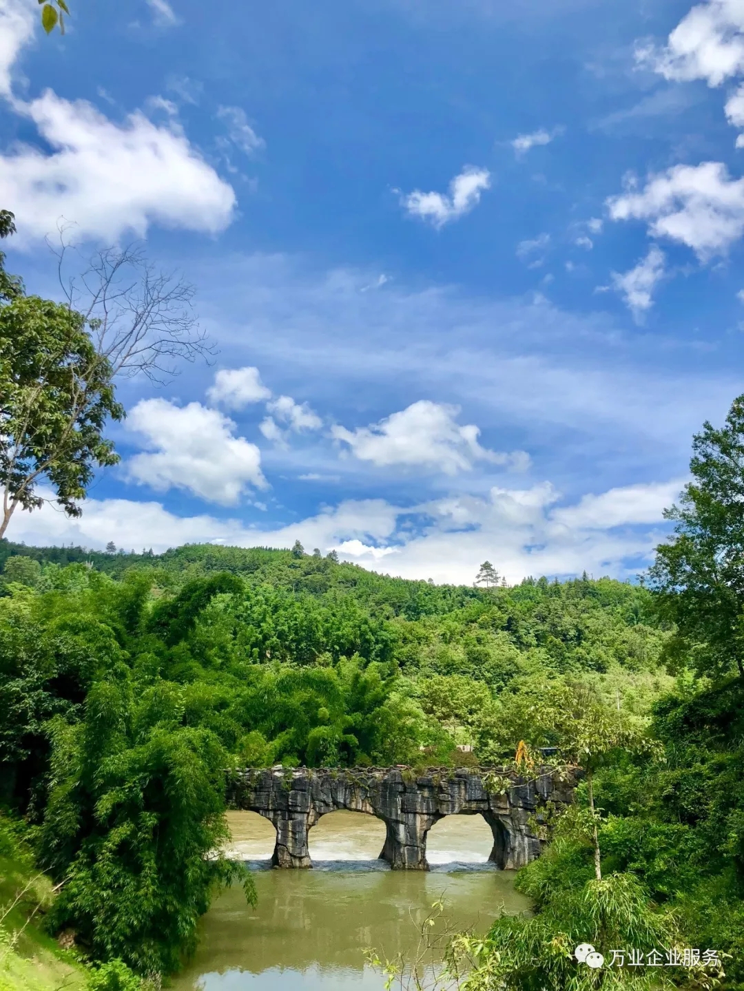 汽車開動分割線
